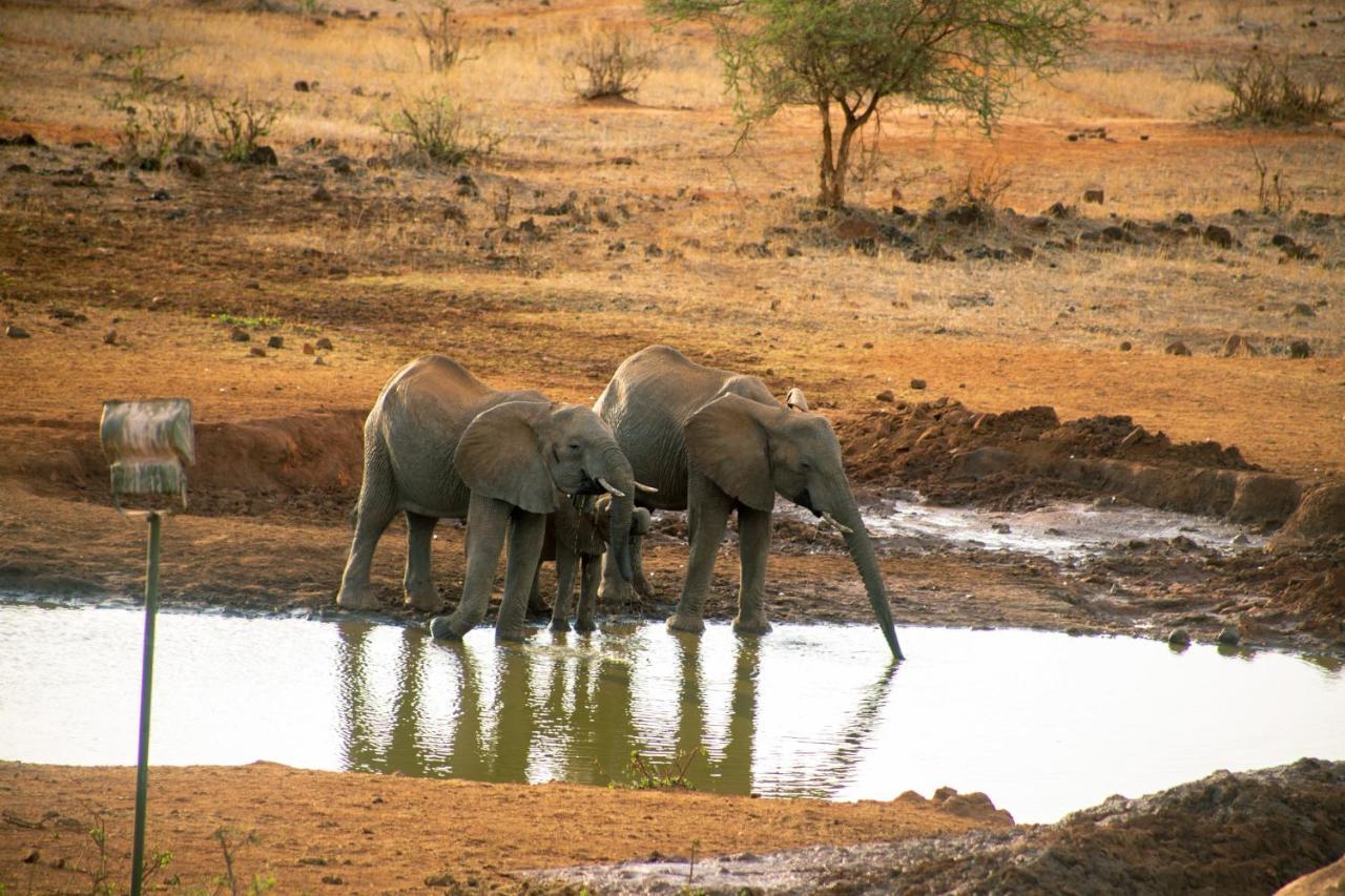Kilaguni Serena Safari Lodge Tsavo Exterior foto