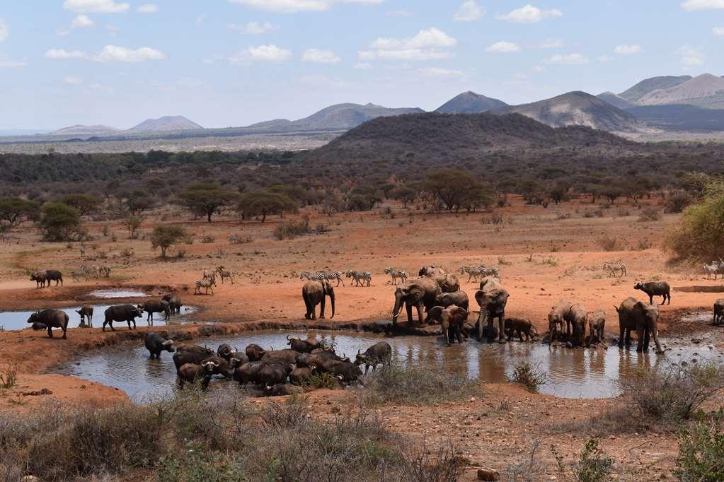 Kilaguni Serena Safari Lodge Tsavo Instalações foto